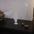 Calvi — Kinetic Mobile