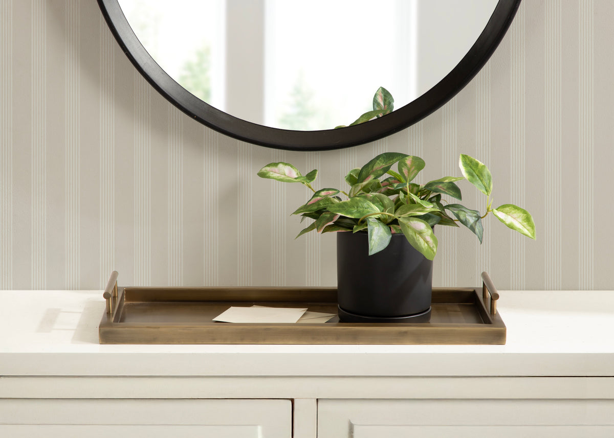 Moderne Tray
